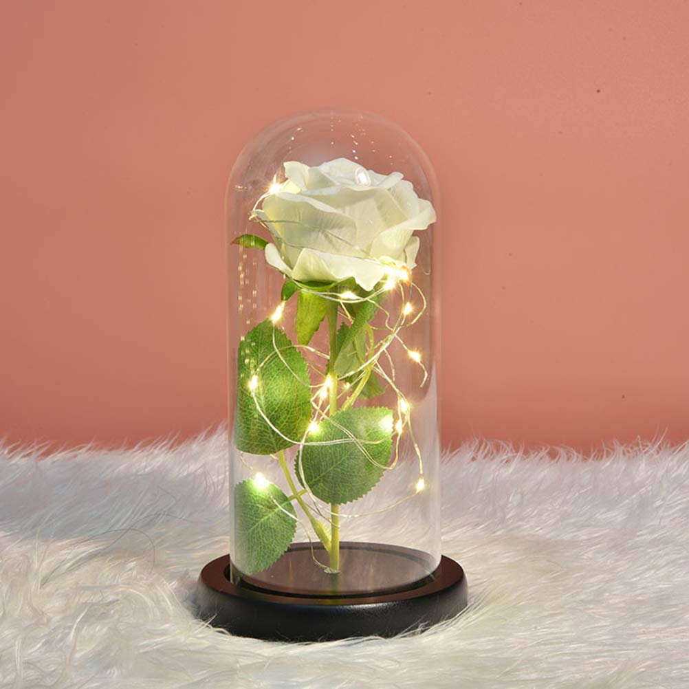 Deolven Beauty and the Beast Rose,Eternal Rose Kit LED Light Enchanted Rose in Glass Dome Preserved Silk Roses for Mothers Day Valentines Day Wedding Anniversary Symbol of Love White Flower