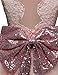 NNJXD Girl Tulle Embroidered Elegant Tutu Backless Dress for Party Size(100) 2-3 Years Pink
