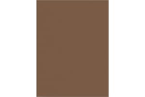 Prang (Formerly SunWorks) Construction Paper, Brown, 9" x 12", 100 Sheets