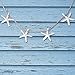 SUBANG 20 Pieces Starfish 2.3 Inch White Resin Sea Star Fake Starfish for Wedding Decor Beach Theme Party, Home Decorations,DIY Crafts, Fish Tank
