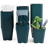 June Fox Plastic Seedling Pots, 60 Pack Square Nursery Pots 4 Inch, Small Plant Pots with Drainage Holes for Seedlings, Succulents, Cuttings (Green)