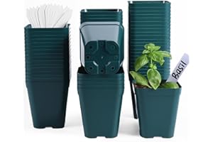 June Fox Plastic Seedling Pots, 60 Pack Square Nursery Pots 4 Inch, Small Plant Pots with Drainage Holes for Seedlings, Succulents, Cuttings (Green)