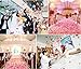 NewStarFire Silk Rose Petals Flower Red for Wedding Proposal Decorations 2000PCS (Pink)