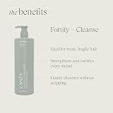 LANZA Healing Strength White Tea Shampoo 1000 ml view 3