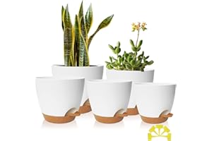 Plant Pots 5 Pack Self Watering Flower Pots 7/6.5/6/5.5/5 Inch with Drainage Holes and Saucers Indoor Outdoor Plastic Planter