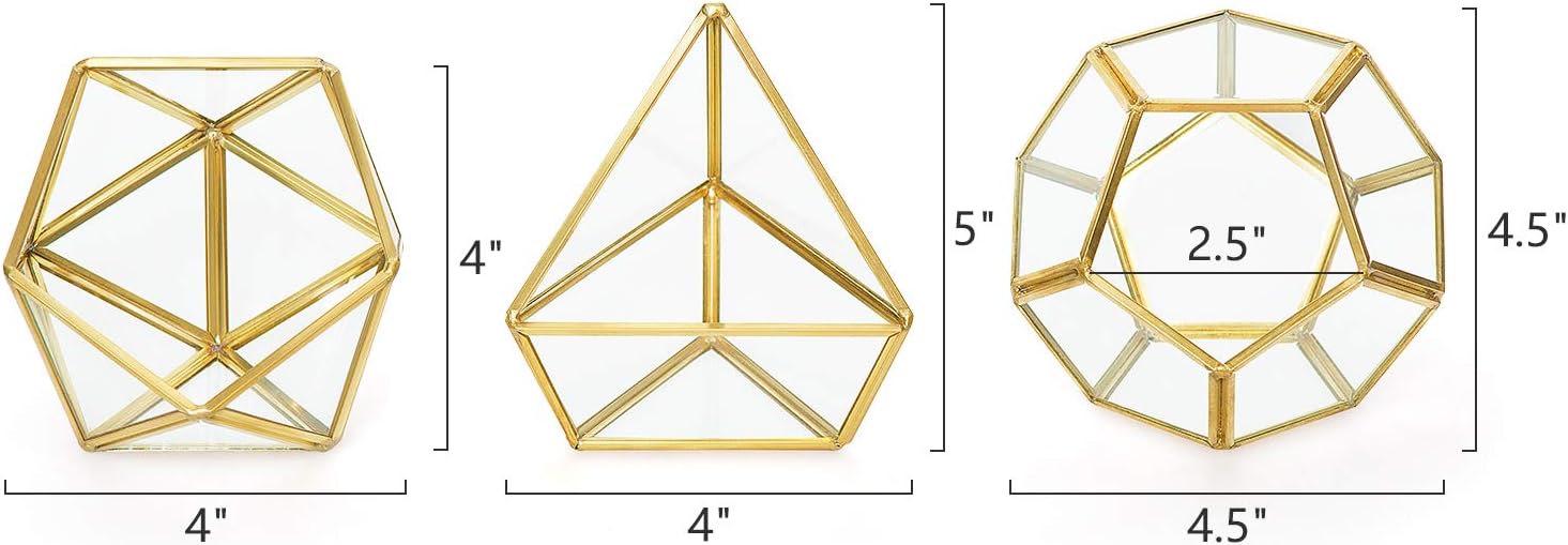 Mkono Mini Glass Geometric Terrarium Container Set of 3 Modern Tabletop Planter Windowsill Decor Shelves DIY Display Box Centerpiece Gift for Succulent Air Plant Miniature Fairy Garden, Gold, 4": Garden & Outdoor