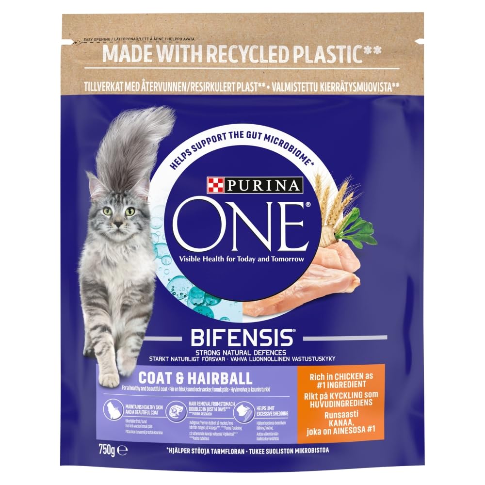 Purina ONE Adult Dry Cat Food Coat & Hairball, Rich in Chicken 750g
