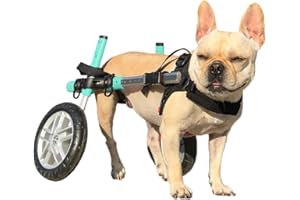 Walkin' Wheels Small Dog Wheelchair, Lightweight Dog Wheelchair for Back Legs, 15-25 lbs, for 12-15 inches Leg Height - Seafoam