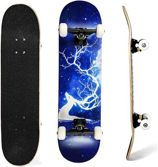 Complete Skateboards Standard Skateboards for Beginners Starter Kids