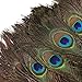 100pcs Natural Peacock Feathers with Eye Peacock Tail Feathers