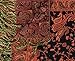 Peach Couture Elegant Double Layer Reversible Paisley Pashmina Shawl Wrap Scarf Red and Black
