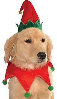 elf outfit for dog