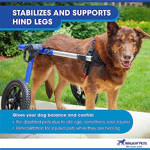 Dog Wheelchair For Large Dogs 70180 Pounds Veterinarian Approved Dog Wheelchair For Back