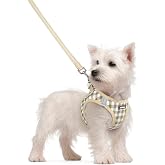 rabbitgoo Dog Harness Small Sized and Leash Set, Step-in Puppy Pet Vest | Light, Soft, Breathable Air Mesh, Easy on and Remove with Hook &amp; Loop, Secure Reflective for Walking, Beige Check S