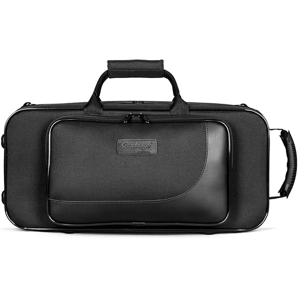 Amazon.com: Baritone Case For Arturia KeyLab Essential 61 Heavy