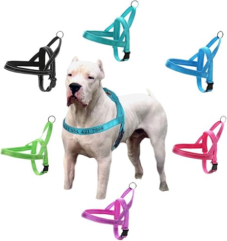 Custom made small dog harness Clearance