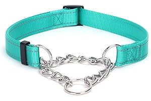 Pimaodog Martingale Dog Collar with Stainless Steel Chain, Martingale Collar with Reflective, Adjustable for Medium Large Dogs (S, Teal)