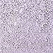Mixed Silver Macaroni Metallic Dragees Decorating Sprinkle Mix| New Year's Christmas Colorful Dessert Sprinkles| Cake Cupcake Cookie Sprinkles| Ice cream Edible Candy Toppers Sprinkles, 2oz