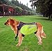 Petroad Dog Backpack Pet Carrier Medium Adjustable Saddlebag Harness Carrier Dog Accessory for Hiking Traveling Camping Walking
