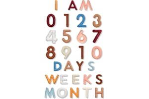Windkream 29 Pcs Felt Baby Monthly Milestone Decor Numbers and Letters Newborn Birth Photography Props, 1-12 Months Milestone Number Sign Decor for Toddler Boy or Girl (Boho Color)