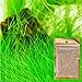 Aquarium Grass Plant Seeds, West Coast Easy Aquatic Live Plant, for Garden Lawn Fish Tank Aquarium Decor