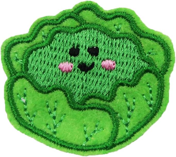 Mixed Media - ROCKAPATCH Lettuce Vegetables Food Embroidered Iron On Patch Mini Size