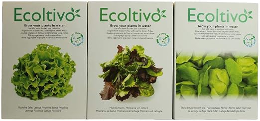 campesinos de huerto botánico, con 3 kit de semillas: 2 lechuga + ...