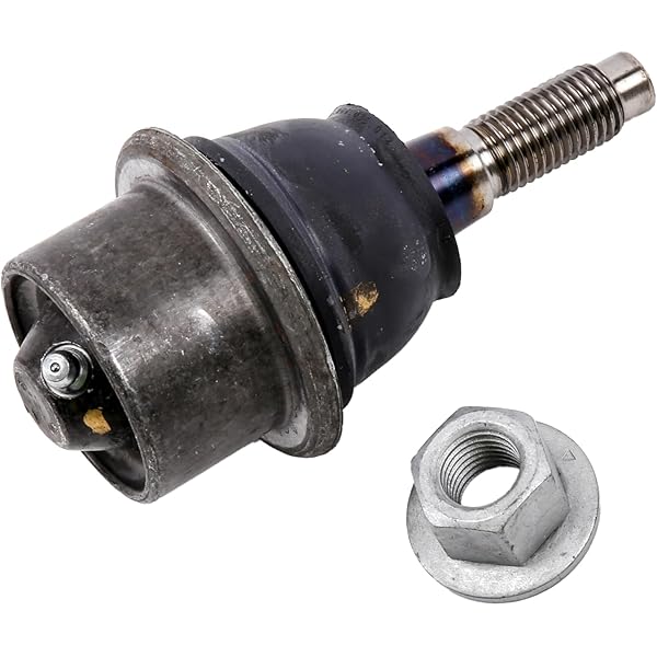 Amazon.com: GM Genuine Parts 15733534 M16x2x140 Front Lower  