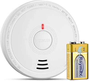 Isafenest Detector de Humo, Alarma de Humo que Batería funciona con Sensor Fotoeléctric, Alarma Luz/Voz, Recordatorio de Batería Baja, Botón de Prueba, Adecuado para Casa Escuela Oficina, Blanco: Amazon.es: Bricolaje y herramientas