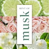Impulse Hint Of Musk Body Spray Deodorant 6 x 150 ml Brand New view 3