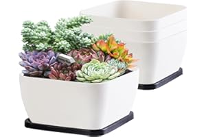 OLIZ Succulent Pots 6 Inch Shallow Planters with Drainage Hole - 4 Packs Cactus Planter for Home Office Garden Plants Pot Gifts - Plants Not Included (Off White)