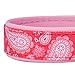 Blueberry Pet 5 Patterns Soft & Comfy Paisley Flower Print Girl Neoprene Padded Adjustable Dog Collar, Hot Pink, Small, Neck 12