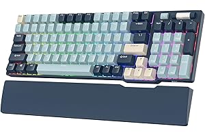 RK ROYAL KLUDGE RK96 RGB Limited Ed, 90% 96 Keys Wireless Triple Mode BT5.0/2.4G/USB-C Hot Swappable Mechanical Keyboard w/So