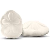 Sea Biscuits | Large Real Sea Biscuits 4"- 5" (Set of 2) | Sand Sea Biscuits | Nautical Crush Trading | Plus Free Nautical Ebook by Joseph Rains
