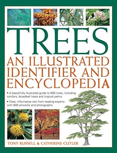 Trees: An Illustrated Identifier & Encyclopedia: A Beautifully Illustrated Guide To 600 Trees, Including Conifers, Broadleaf Trees And Tropical Palms