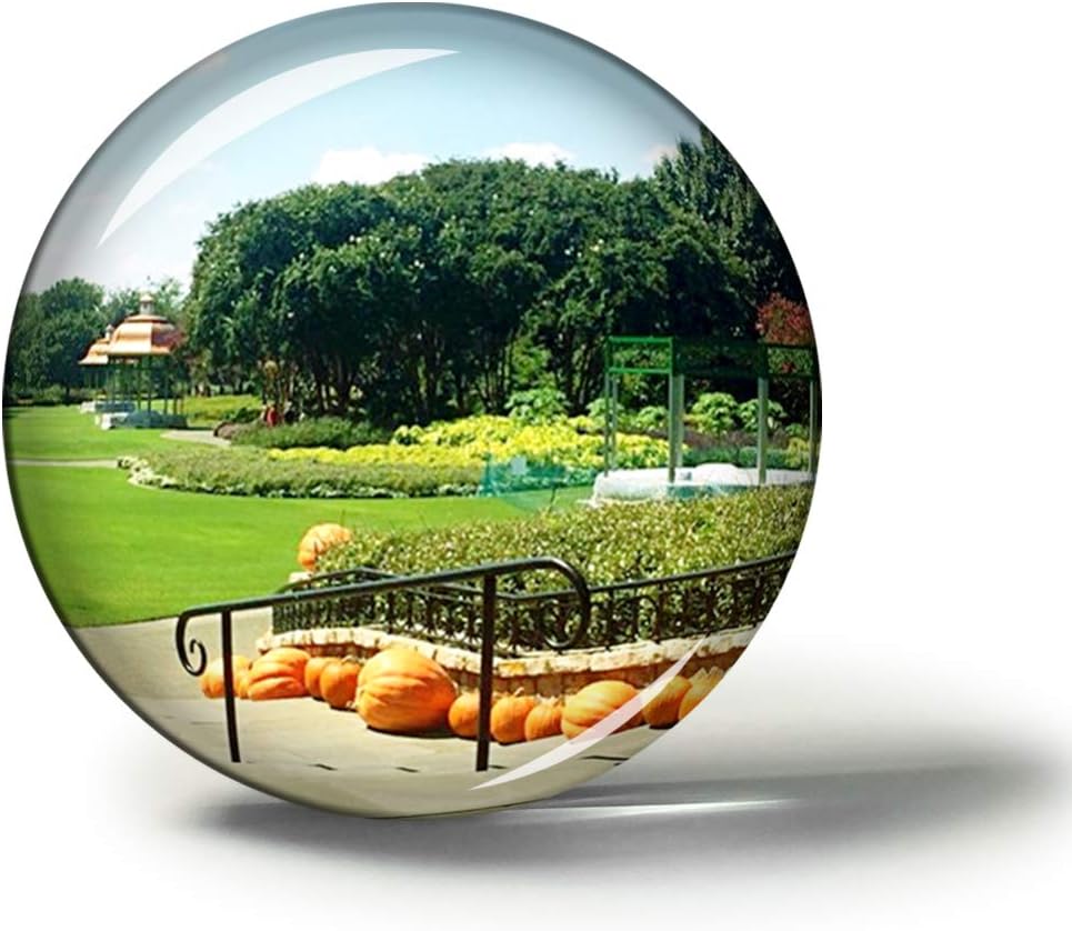 Best Botanical Refrigerator Magnets