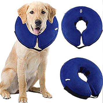 Glodenbridge Hundehalsband Für Hunde Halsband Für Hunde