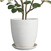 EPFamily 10 Inch Ceramic Planter Pot - Large Plant Pot with Drainage Hole and Saucer, Modern Round Flower Pots for Indoor Outdoor Plants, Garden Planter, White