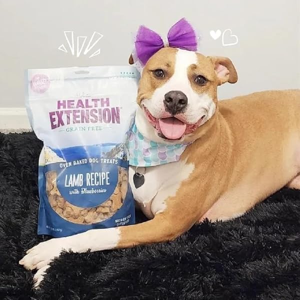 HEALTH EXTENSION OVEN-BAKED DOG TREATS, LAMB RECIPE – GLUTEN & WHEAT-FREE, SUPERFOOD-INFUSED, CRUNCHY BISCUITS FOR PUPPY TRAINING (2.25 LB)