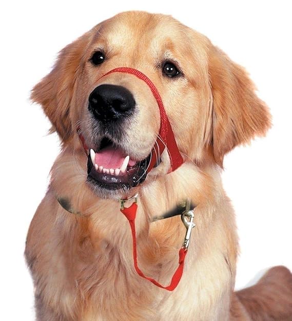 Amazon Barkless Dog Head Collar No Pull Training Tool For Dogs 