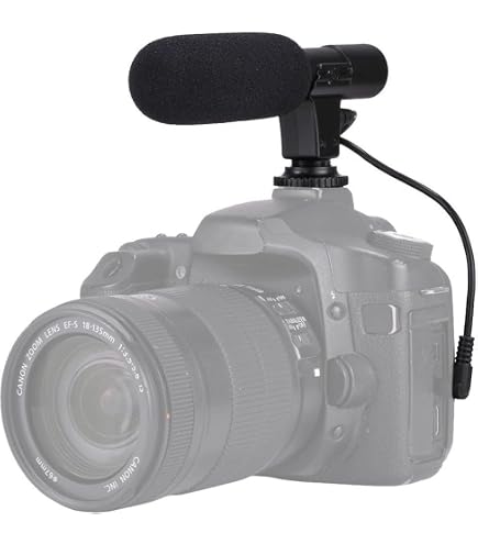 Amazon.com : Canon SM-V1 5.1 Channel Surround Microphone for S and