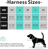 PoyPet No Pull Dog Harness Reflective Vest with 2 Leash Attachments (S) Black view 2
