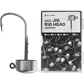 Ned Rig Jig Heads, 20/40 Pack Finesse Mushroom Jig Hooks for Bass Fishing | Unique bait keeper, equipped with wide gap hook, cover 1/16 1/8 3/16 and 1/4 oz