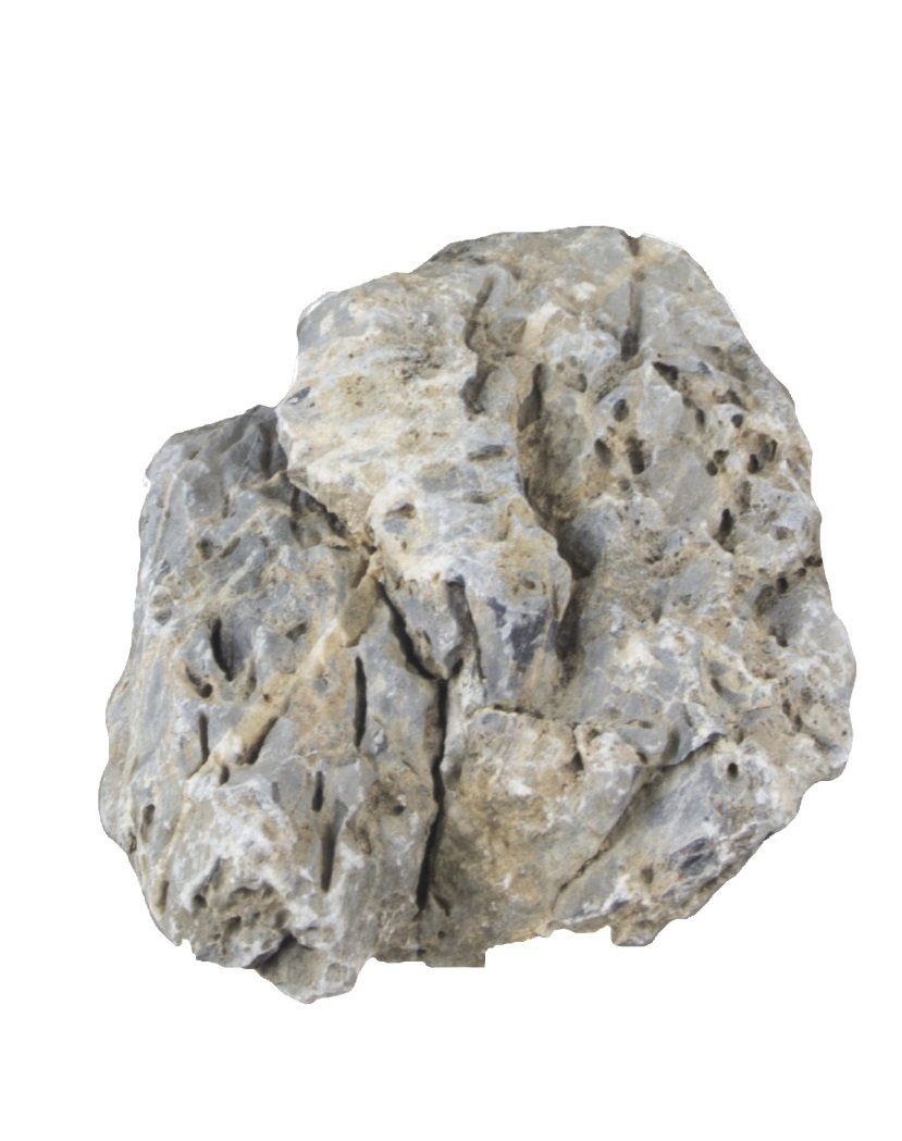 Amtra Dragon Stone Rock, Medium, 2.5 kg Amazon.co.uk Pet Supplies