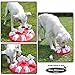 Company of Animals Nina Ottosson Dog Magic Interactive Plastic Toy