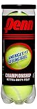 Penn Championship Extra Duty Felt Tennis Balls - 6