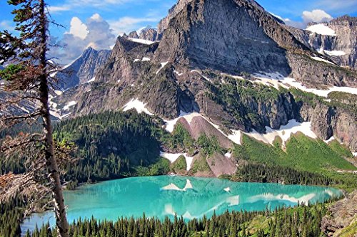 PigBangbang,Handmade Intellectiv Games Photomosaic Jigsaw Puzzle Box Basswood 29.5 X 19.6''Colorful Cartoon 1000 piece Mural Home Decoration-Glacier National Park