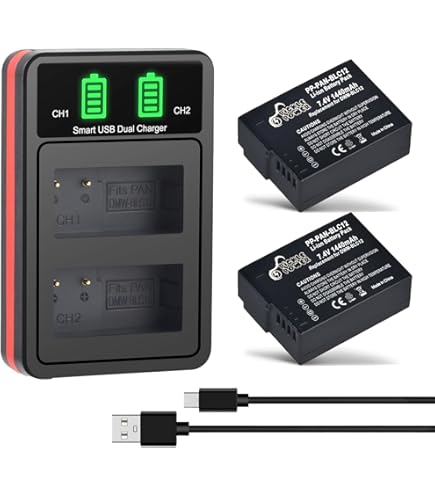 Amazon.com: BM Premium 2 Pack of High Capacity DMW-BLC12 Batteries