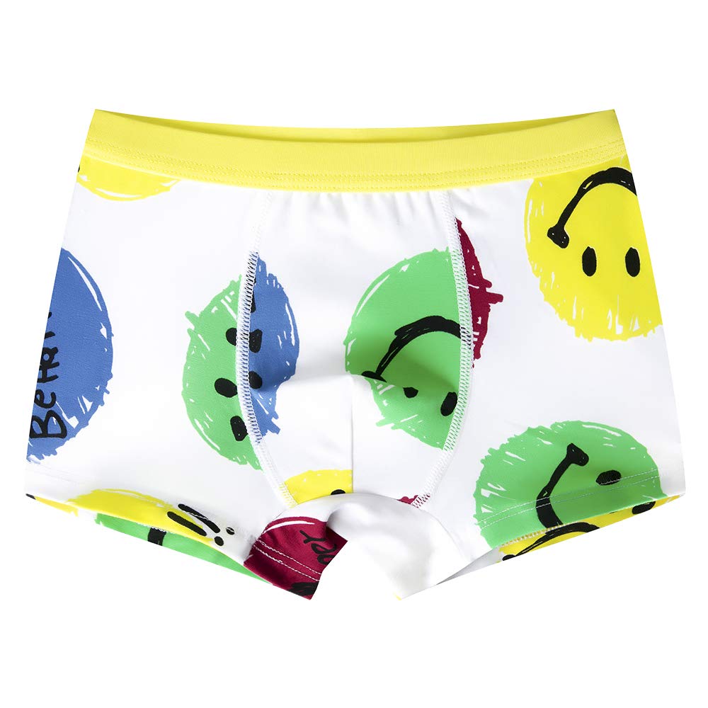 slaixiu Soft Cotton Kids Boxer Briefs Cartoon Boys Underwear Boxers 4-Pack (UW75-N3338-150)