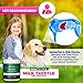 Certified Organic Milk Thistle Powder for Cats and Dogs - Easy to Mix with Wet or Dry Food- Promotes Healthy Liver Function and Detox for Pets (10 OZ for Large Dogs)